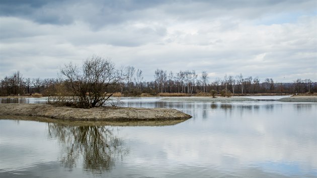 Vrbensk rybnky v eskch Budjovicch jsou odbahnn.