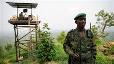 Stráci národního parku Virunga v Kongu mají jednu z nejt잚ích prací na svt.