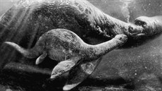 Lochneska burcuje fantazii. A p�edstava, �e by snad p�ivedla na sv�t potomka a...