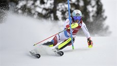 Wendy Holdenerová ve slalomu v Aare.