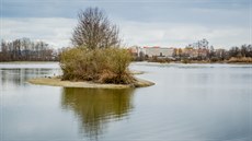 Vrbenské rybníky jsou oblíbeným cílem pro procházky. Rezervace se rozkládá na severním okraji Budjovic. 