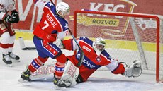 Třebíčští hokejisté v zápase se Slavií