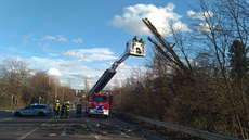 Pražští hasiči v ulici Drnovská v sobotu odstraňovali strom, který kvůli...