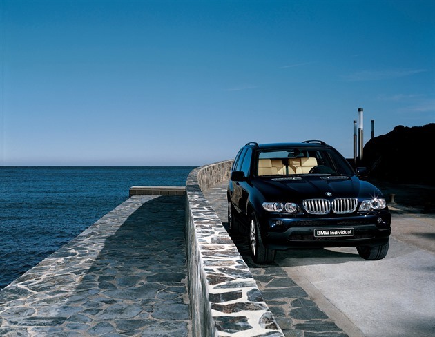 První BMW X5 je i za sto tisíc, bez investic se však neobejde. Berte benzin