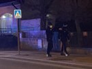 Policie zasahovala v pra�sk�ch �t�rbohol�ch. Pes tam p�esko�il plot a napadl...
