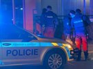 Policie zasahovala v pra�sk�ch �t�rbohol�ch. Pes tam p�esko�il plot a napadl...
