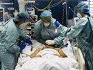 Zdravotnice oetují pacienta nakaeného covidem na oddlení ARO nemocnice v...