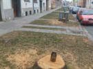 Obyvatel prostjovsk ulice zu. Kvli vodovodu padlo ticet zdravch strom