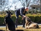 Psi amerického prezidenta Joea Bidena se vrátili z Delaware do Bílého domu....