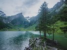 výcarsko nabízí nádherné hory, jasn zelenou trávu a przranou vodu v...