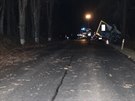 Nehoda kamionu u Kladrub na Tachovsku. Podle policist idi nadchal pes 2,5...