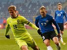 Estonský fotbalista Michael Lilander stínuje eského útoníka Matje Vydru.