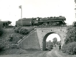 Lokomotiva 556.0344 v �ele nákladního vlaku v Semonicích, 23. 6. 1980