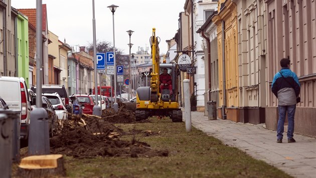 V České ulici nedaleko centra Prostějova překvapilo obyvatele kácení letitých lip. Na pařezech lidé zapalovali hřbitovní svíčky.