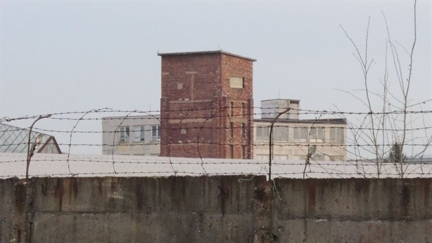 Drtička rudy v areálu bývalého tábora ve Vykmanově. Stav z roku 2016.