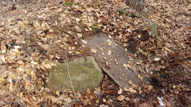 Takzvaný Truntschkův kámen, o kterém se historici domnívali, že je dávno zničený, objevili členové spolku zarostlý v lese u Dubí na Teplicku.