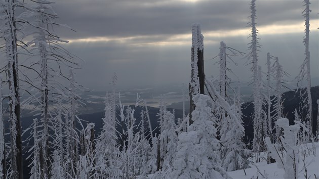 Na šumavském vrcholu Plechý leží stále přes metr sněhu.