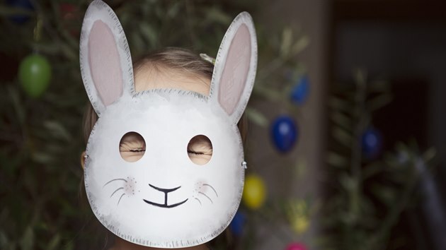 Pokud si nejste jistí, že byste péči o králíka zvládli, raději si s dětmi...