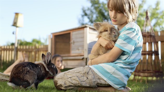 Pokud máte zahradu, ocení králík prostornou králíkárnu. 
