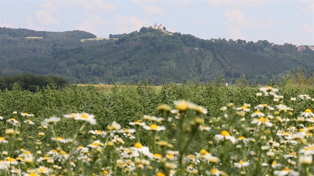 Krajinu pobl ښtku na Litomicku by mla v budoucnu prott peloka silnice I/9.