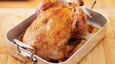 Svatomartinská husa