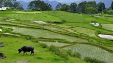 Sulawesi nabízí pekrásnou krajinu, která není nikde jinde k vidní.