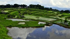 Taková rýová pole nenajdete ani na Bali.