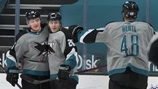 Tomá Hertl (zády) ze San Jose slaví se spoluhrái v duelu se St. Louis.