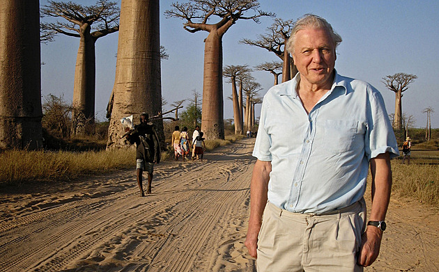 David Attenborough oslaví 100. narozeniny. Smrti se nebojím, říká přírodovědec
