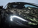 Pkná ptákovina: Opeený McLaren 570GT s 10 000 umlými pírky a stvoly z...
