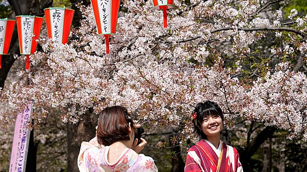 Okrasn ten sakury letos v mnoha stech Japonska pln rozkvetly nejdve za skoro 70 let. Nejranj rozkvt do letonho roku byl podle historickch dokument zaznamenn 27. bezna v letech 1612, 1409 a 1236. (31. bezna 2021)
