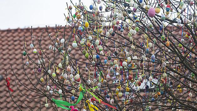 Po lo�sk� pauze je u z�mku v Hranic�ch op�t k vid�n� strom ozdoben� n�kolika...