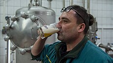 Ve strakonickém pivovaru Dudák uvařili velikonoční zelené pivo.