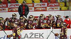 Jihlavtí hokejisté se radují z gólu, sleduje je trenér Viktor Ujík.