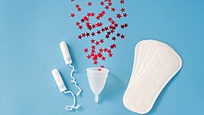 ilustra�ní snímek