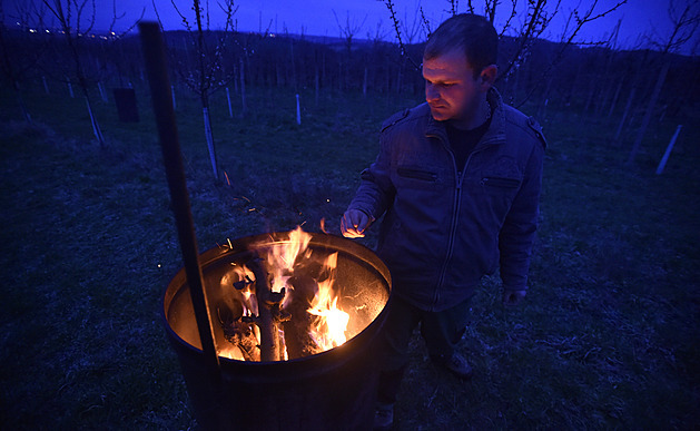 Ovocnáři se snaží zachránit úrodu u Buchlovic, meruňkám v noci topili