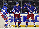 Libor Hajek (zleva), Filip Chytil a Pavel Bunvi slaví gól New York Rangers.