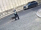 Policie hled mue, jeho pes pokousal malho chlapce