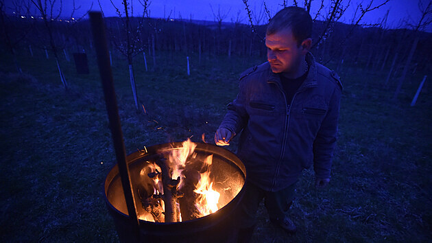 Pěstitelé v sadech u Buchlovic na Uherskohradišťsku udržují v noci a ráno oheň v sudech. Teplo má pomoci ochránit kvetoucí meruňky před mrazem.