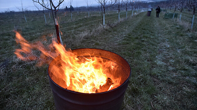 Sadaři u Buchlovic rozdělávají ohně v noci a ráno, kdy teploty klesají pod nulu.