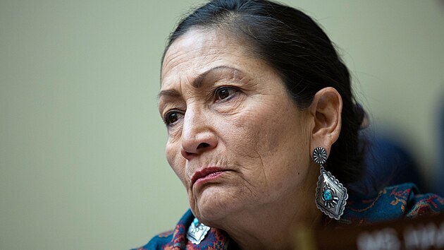 United States Representative Deb Haaland (Democrat of New Mexico) listens as Vanita Gupta, President and Chief Executive Officer of the Leadership Conference on Civil & Human Rights, John Yang, President and Executive Director of Asian Americans Advancing Justice, Arturo Vargas, Chief Executive Officer of NALEO Educational Fund, Kevin J. Allis, Chief Executive Officer of the National Congress of American Indians, Marc Morial, President and Chief Executive Officer of the National Urban League, and Darrell Moore, Executive Director at the Center for South Georgia Regional Impact, testify before the United States House Committee on Oversight and Reform on Capitol Hill in Washington DC. The 2020 census is set to be conducted nationwide beginning on April 1, 2020.