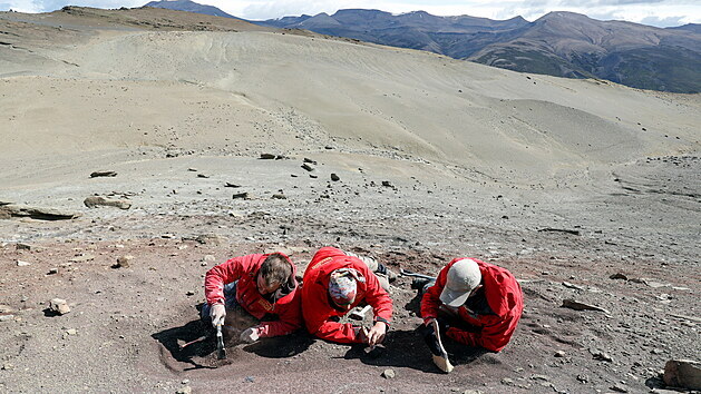 Paleontologové při práci v údolí Las Chinas v chilské Patagonii