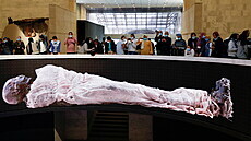 Dvaadvacet mumií starověkých egyptských panovníků od soboty spočívá v...