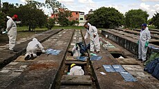 Hrobai v ochranných oblecích v brazilském mst Sao Paulo musí kvli...