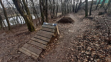 Na okraji Olomouce si neznámí bikei postavili improvizovaný park. Terénními...