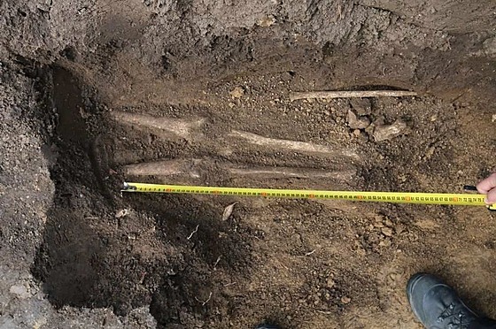 Jeden z nález archeolog v Kralicích na Hané.