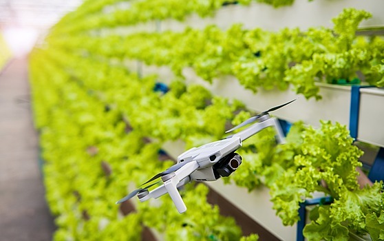 Na ja�e 2021 se firma Future Farming chlubila novou akvaponickou farmou v brn�nských Dolních Her�picích, která m�la vyp�stovat a� 770 tun rostlin ro�n�. Kv�li dluh�m v�ak skon�ila.