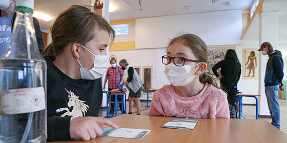 Zásoba antigenních test pro áky v Plzeském kraji se tení.