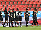 Hrái Leverkusenu se radují z gólu proti Kolínu.