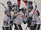 Hokejisté Liberec se radují ze vstelené branky v zápase proti Tinci.